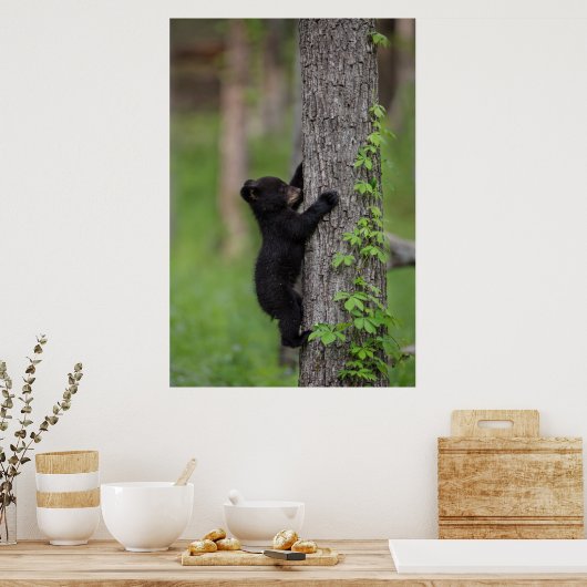 Poster Bear Cub (Cuisine)