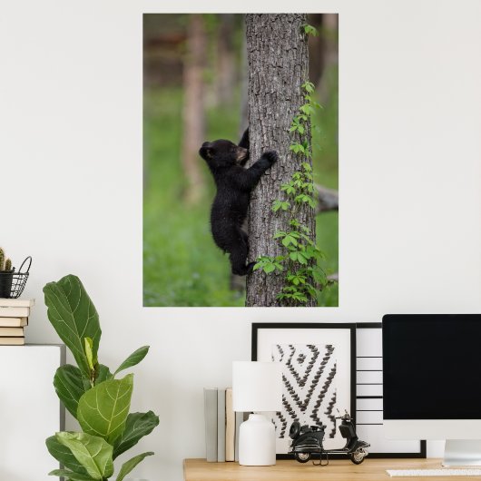 Poster Bear Cub (Bureau à domicile)
