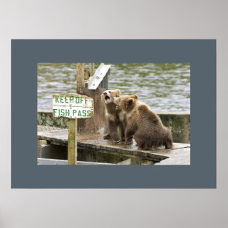 Poster Bear Cubs Garder Souvenirs de saké Aimer Destiny D