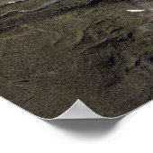 Poster Bear Glacier Alaska (Coin)