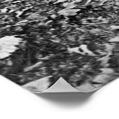 Poster Bear Hunter, 1909 (Coin)