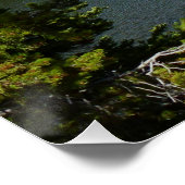 Poster Bear Lake au parc national Rocky Mountain (Coin)