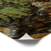 Poster Bear River Trout Pond, Newry Maine : Eau Tranquill (Coin)