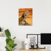 Poster Bearded dragon (Pogona Vitticeps) on rock (Bureau à domicile)