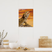 Poster Bearded dragon (Pogona Vitticeps) on rock (Cuisine)