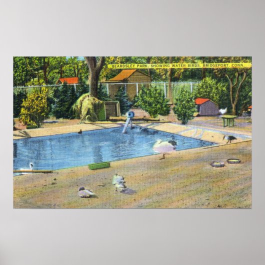Poster Beardsley Park Vue sur les oiseaux aquatiques (Devant)
