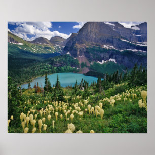 Poster Beargrass au-dessus du lac Grinnell dans le