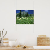 Poster Beargrass au lac Eunice, Mt. Rainier NP, WA, (Cuisine)