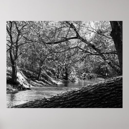 Poster Beargrass Creek (Photographie noir et blanc) (Devant)