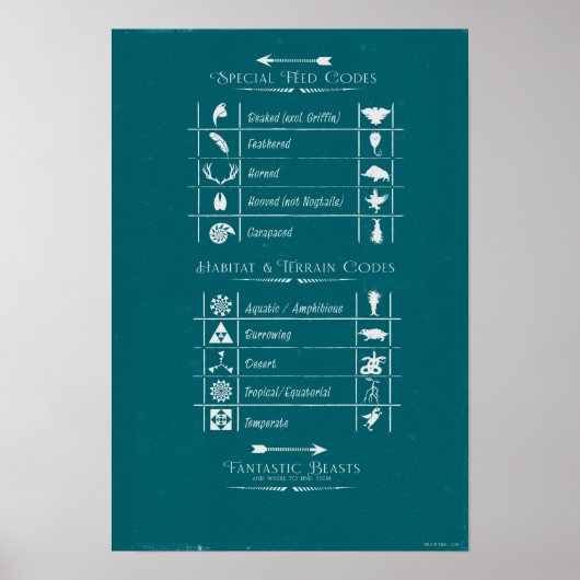 Poster BEASTS FANTASTIQUES ET OÙ LES TROUVER™Code Graphiq (Devant)