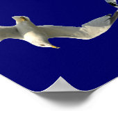 Poster Béatitudes à la frontière aérienne du Seagull (Coin)