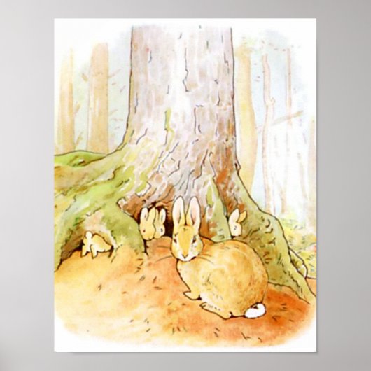 Poster Beatrix Potter du conte de Pierre le lapin (Devant)