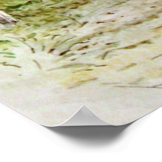 Poster Beatrix Potter Le Conte de Benjamin Bunny (Coin)