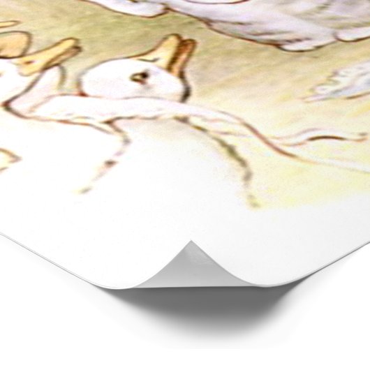 Poster Beatrix Potter, Tom Kitten, Custom (Coin)