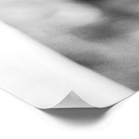 Poster Beau ami Cheval "poster" (Coin)