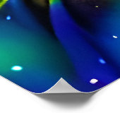 Poster Beau animal trois (Coin)