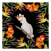 Poster Beau aquarelle cacatau perroquet dessin à la main (Devant)