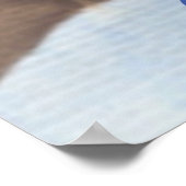 Poster Beau Aquarelle Chouette Amateurs (Coin)