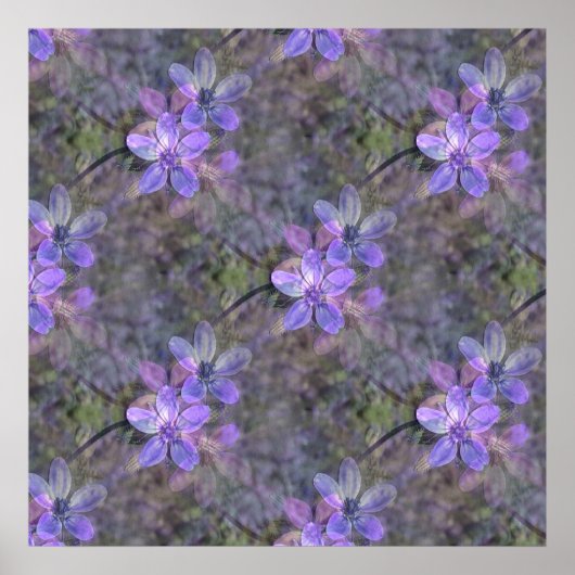 Poster Beau au printemps.. (Devant)