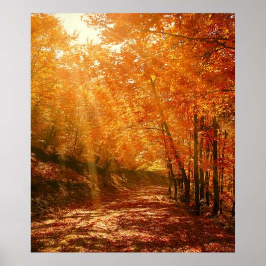 Poster Beau automne (Devant)