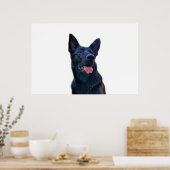 Poster Beau berger allemand noir (Cuisine)