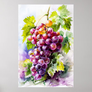 Poster Beau bouquet de raisins aquarelle