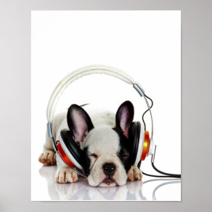 Poster Beau Bulldog Dormir Anglais Bulldog Lover