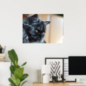 Poster Beau chat (Bureau à domicile)