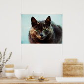 Poster Beau chat (Cuisine)