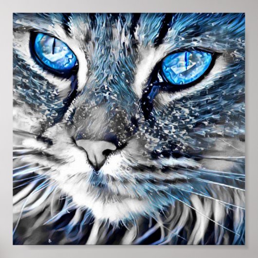Poster Beau chat aux yeux bleus (Devant)