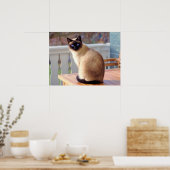 Poster Beau chat siamois avec yeux bleus (Cuisine)