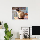 Poster Beau chat siamois avec yeux bleus (Bureau à domicile)
