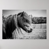 POSTER BEAU CHEVAL (Devant)