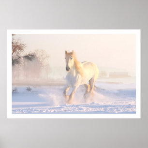 Poster Beau Cheval Blanc