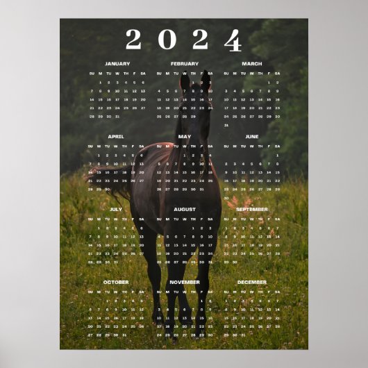 Poster Beau Cheval Brun dans un Pré Calendrier Mural 2024 (Devant)