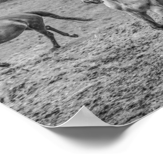 Poster Beau Chevaux B&W (Coin)