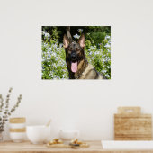 Poster Beau chien berger allemand (Cuisine)