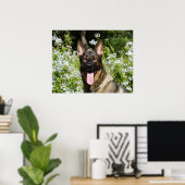 Poster Beau chien berger allemand (Bureau à domicile)