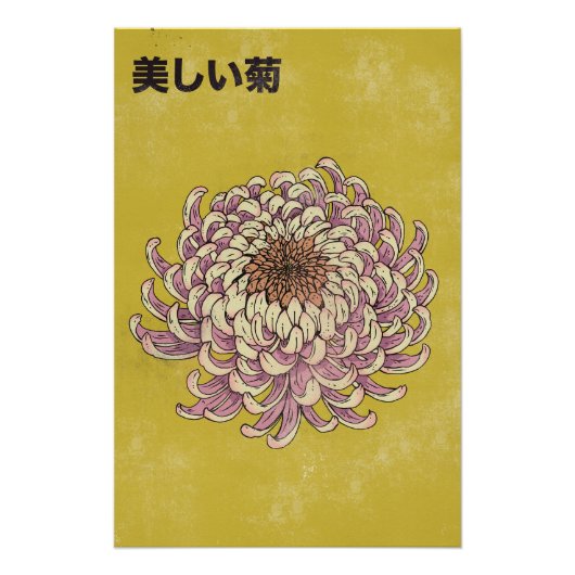 Poster Beau Chrysanthème (Devant)