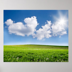 Poster Beau ciel bleu et champ vert