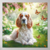 Poster beau Clumber Spaniel (Devant)