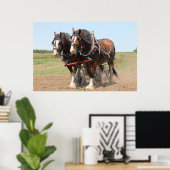 Poster Beau clydesdale chevaux labourant (Bureau à domicile)
