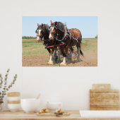 Poster Beau clydesdale chevaux labourant (Cuisine)