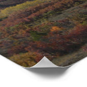 Poster Beau Colorado (Coin)