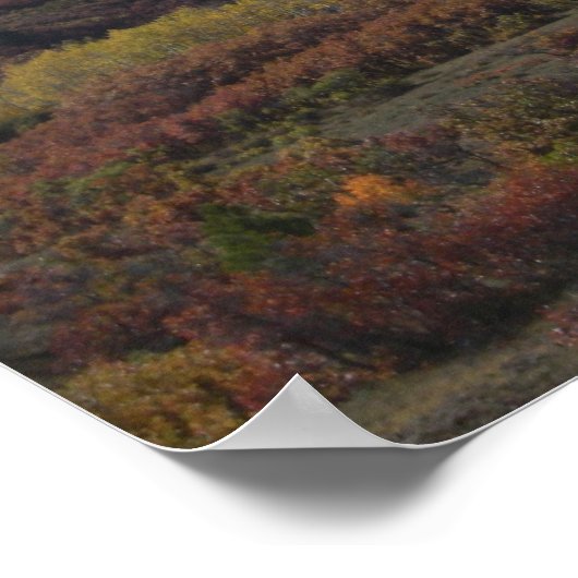 Poster Beau Colorado (Coin)