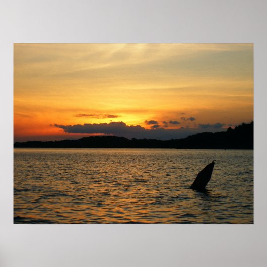 Poster Beau coucher de soleil (Devant)