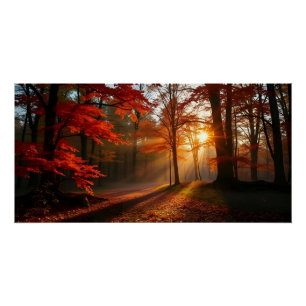 Poster Beau coucher de soleil Forêt d'automne paysage