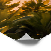 Poster Beau coucher de soleil sur la plage des Maldives (Coin)