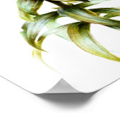 Poster Beau crayon de lys orange et aquarelle art (Coin)