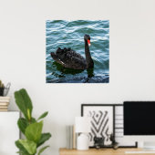 Poster Beau cygne noir (Bureau à domicile)